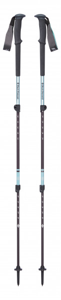 W'S TRAIL TREK POLES